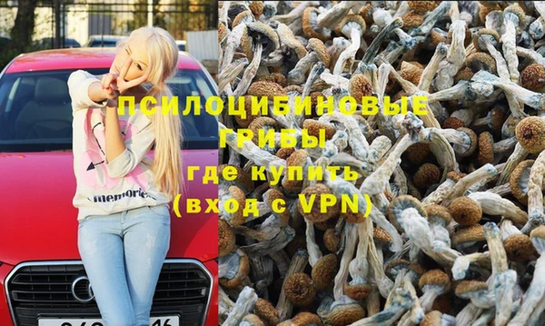 бошки Волосово