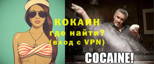 mdpv Снежинск