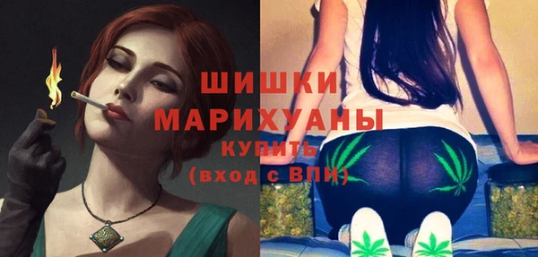 Альфа ПВП Вязьма