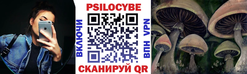 Псилоцибиновые грибы прущие грибы  где купить наркоту  Зуевка 