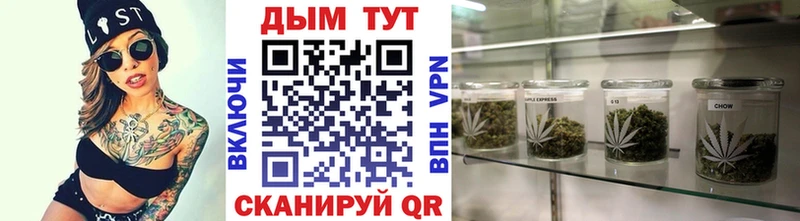 shop какой сайт  Зуевка  Канабис ГИДРОПОН 